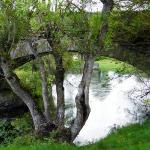 Un arco del puente de Las Uces (presumiblemente el más antiguo y romano).
